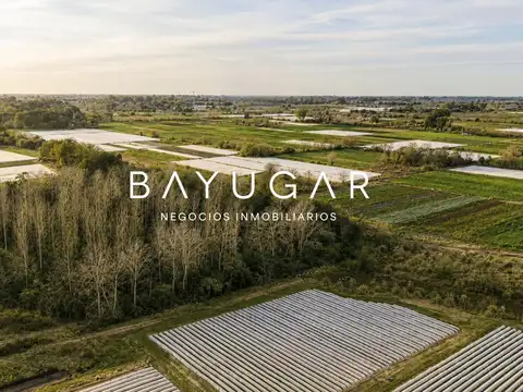 Venta de Campo en Pilar