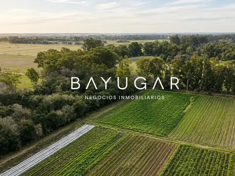 Venta de Campo en Pilar