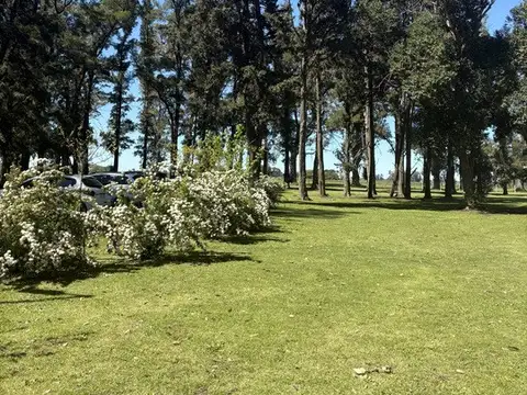 Terreno en Venta en Los Tres Pinos, USD 17.000