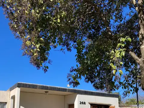 Lemos 1000