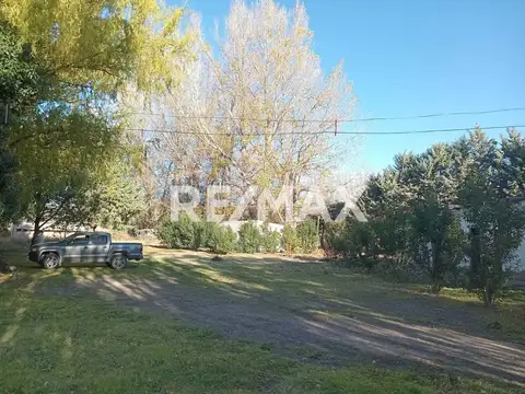 Alquila Chacra 63 ha costa Rio Limay Cipolletti RN