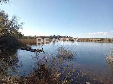 Alquila Chacra 63 ha costa Rio Limay Cipolletti RN