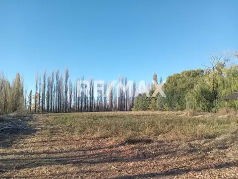 Alquila Chacra 63 ha costa Rio Limay Cipolletti RN