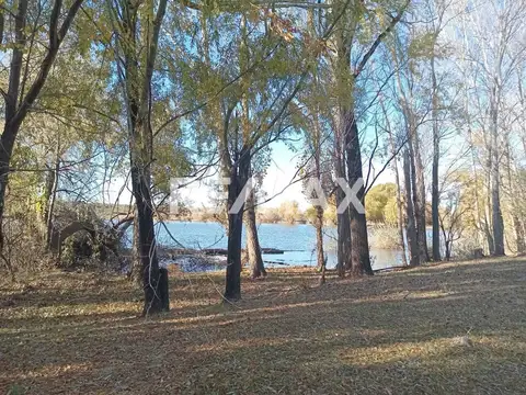 Alquila Chacra 63 ha costa Rio Limay Cipolletti RN