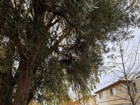 Barrio El Matién, Calle Figueroa 2800