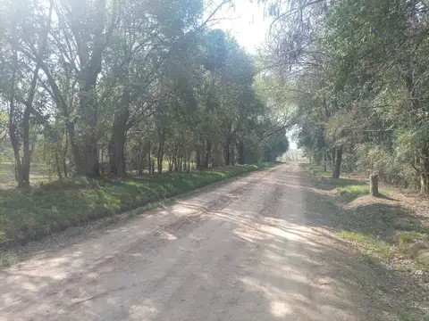 San Lorenzo y R Gutierrez