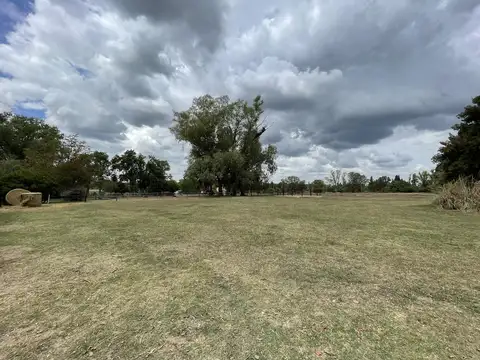 Chacra en Venta de 6ha en Manzanares