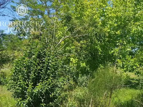 Terreno - Venta - Argentina, Tigre