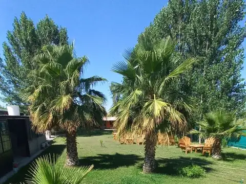 Quinta en Venta en Rodeo Del Medio, USD 95.000