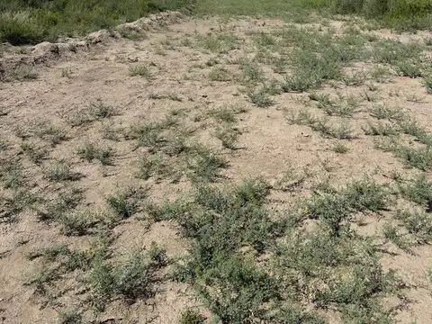 OPORTUNIDAD CAMPO EN VENTA EN LA PAZ