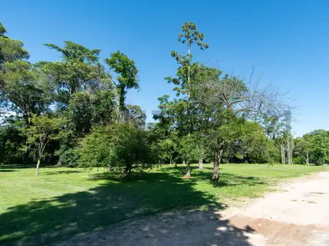 Terreno en Venta 16  mts Frente