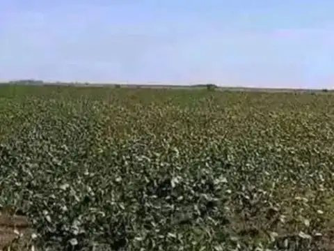 RUTA 8 100