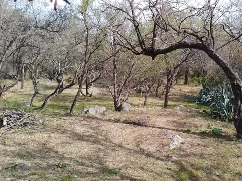 Terreno en Loma Bola
