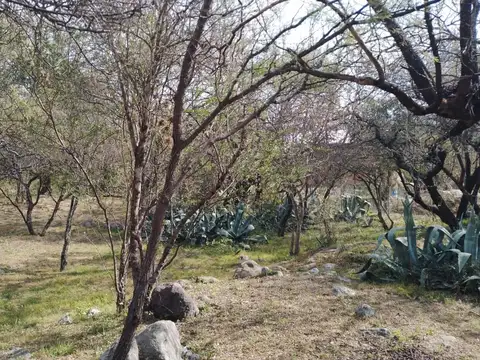 Terreno en Loma Bola