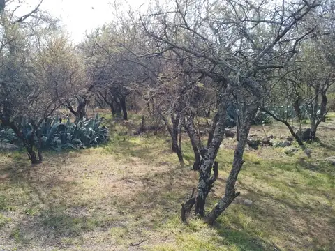 Terreno en Venta en Loma Bola, USD 25.000