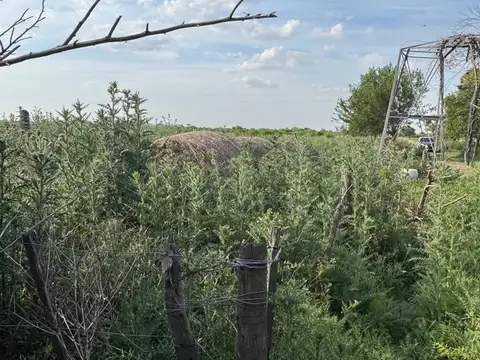 distrito Acochinga depto la capital