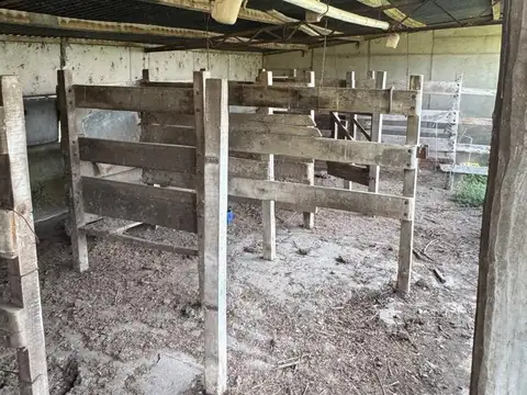 VENTA 50 HECTAREAS ARROYO AGUIAR