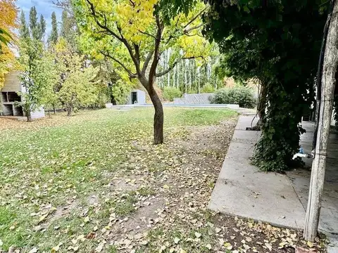 Chacra en Cipolletti