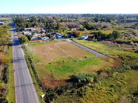 Avda. 7y622 | EL CENTENO (UF.19)