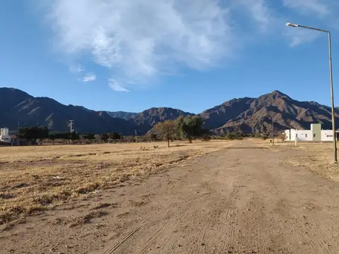 Fincas del Diquie 100