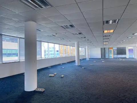 Oficina en Alquiler 26 años