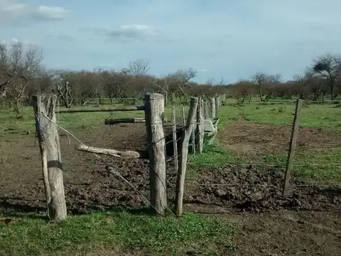 Campo en Venta Ganadero