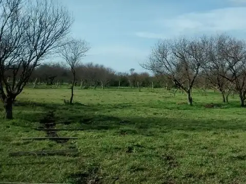 Campo en Venta con Alambrado