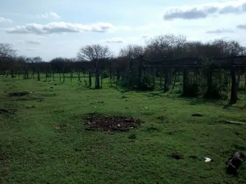 Campo en Venta de 386  ha