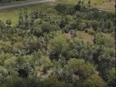 Terreno en Venta en Centro, USD 100.000