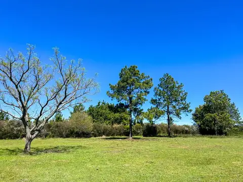 Terreno en Venta en Concordia, USD 105.000