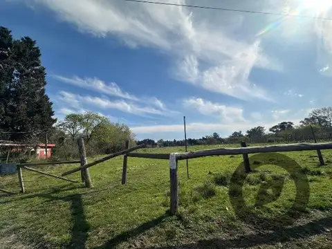 Lorenzo Vinter al 600