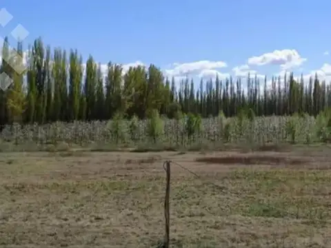 En Venta, Chacra de 7 Hectáreas Villa Mzn.