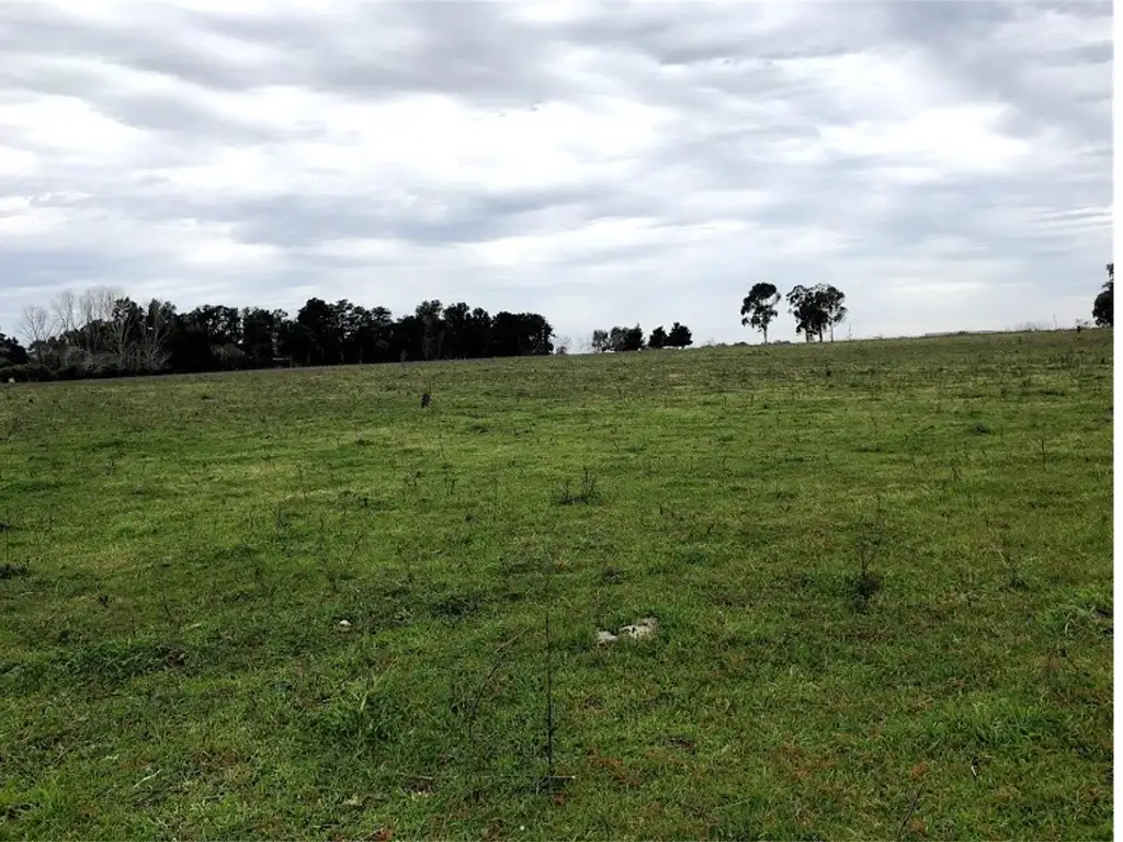 Campo en Venta en El Chaja
