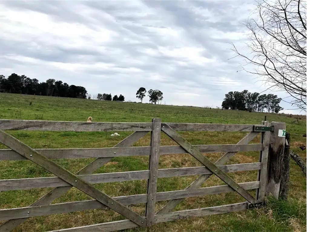 Campo - 7  ha | Con alambrado perimetral