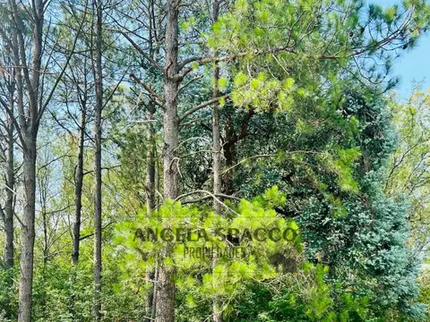 Terreno en Venta en Los Pinos, USD 35.000