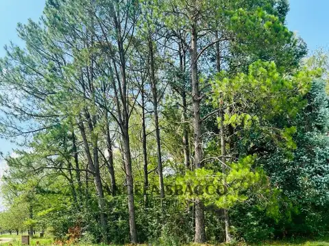 Terreno en Venta en Los Pinos, USD 35.000