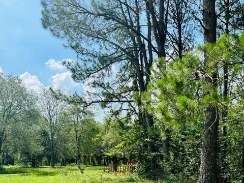 Rio Sauce Grande, Barrio Amarylis.