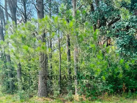 Terreno arbolado Amarylis