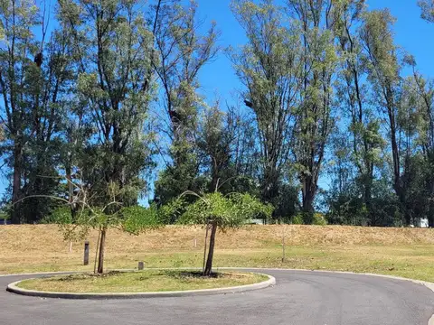 Terreno en Azzurra Tortugas, sector 4.