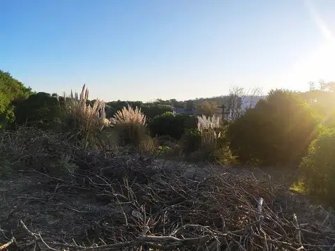 Playa entre Calle 39 y 100