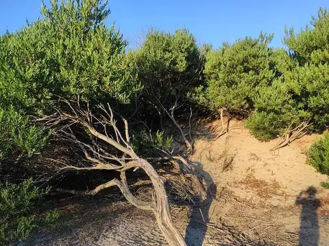 Terreno en Venta 10  mts Frente