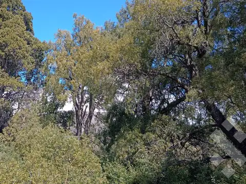 Terreno en Venta en San Martin de los Andes, Lácar