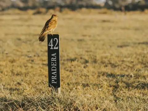 Terreno en Venta de 638,0 m2