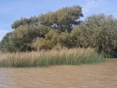 VENTA LOTE 14 1ERA SECCION DE ISLAS EN EL DELTA DEL TIGRE