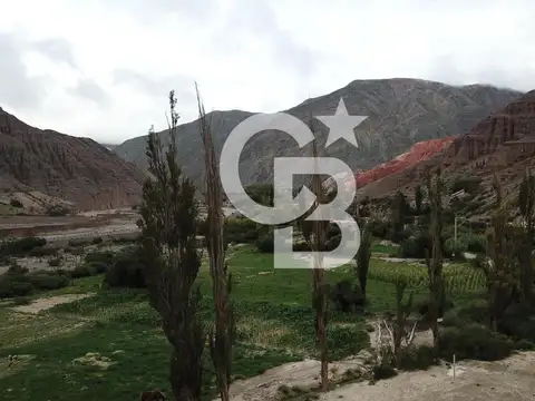 VENTA TERRENO EN PURMAMARCA