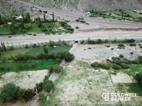 Terreno en Venta de 1092,0 m2