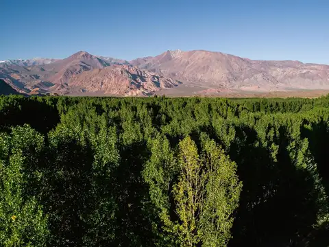 USPALLATA RUTA 7 KM 1146