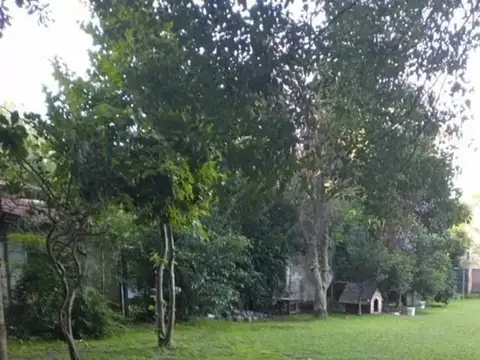 Pilar - Las Magnolias