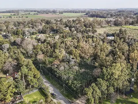 Terreno en Venta en Monteverde, USD 45.000