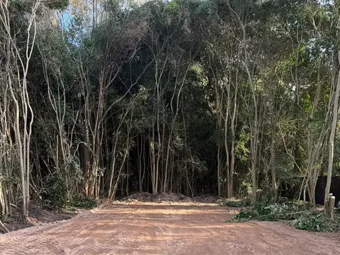 Terreno en Venta 30  mts Fondo